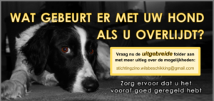 Wilsverklaring Stichting Zino