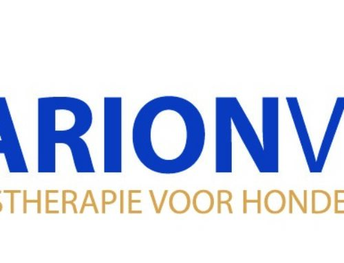 Gedragstherapie voor honden – Marion Venema (Drenthe)