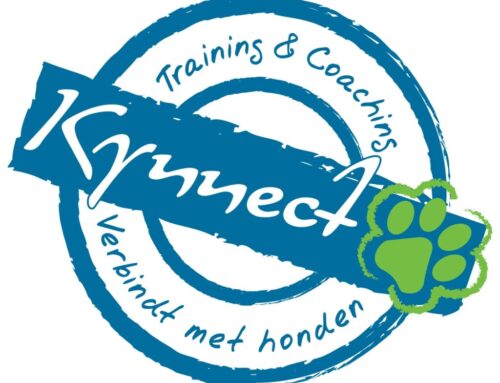 Kynnect – Geerd de Rooij (Limburg)
