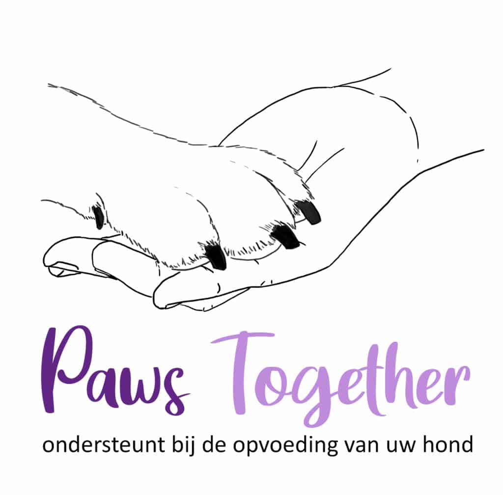 Paws Together