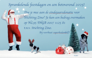 Eindejaarsdonatie Stichting Zino