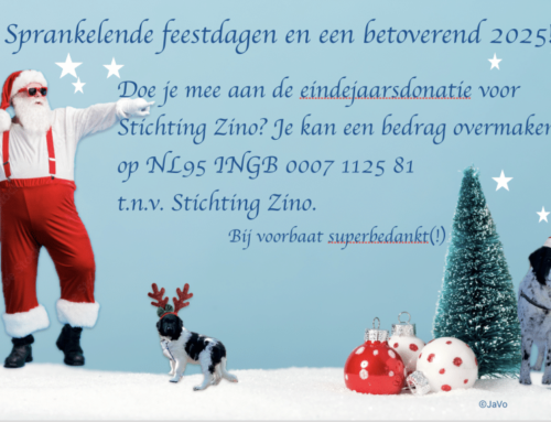 Kerstsluiting Stichting Zino