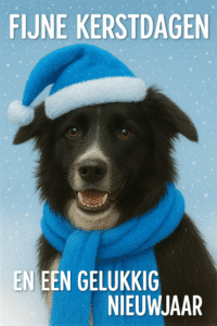 Stichting Zino Kerstwens